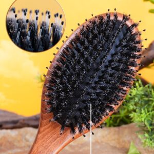 Bristle Hair Comb