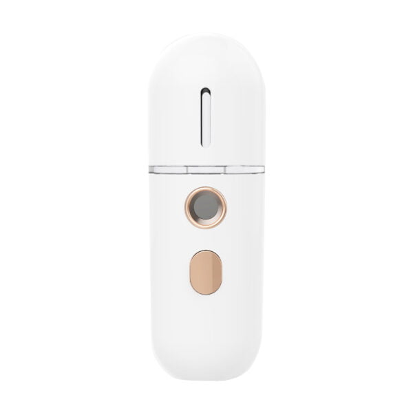 Portable Mini Facial Steamer Mist Sprayer Face Humidifier