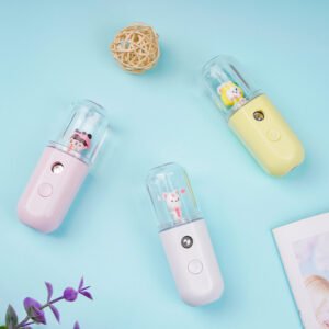 Portable Mini Facial Steamer Mist Sprayer Face Humidifier