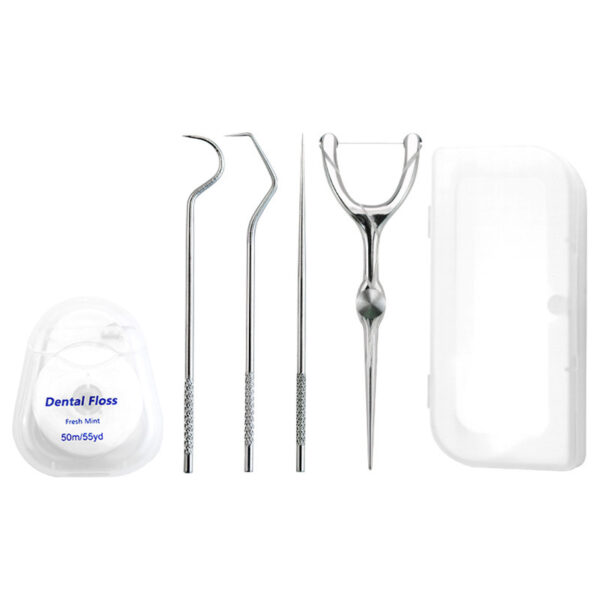 Stainless Steel Dental Floss Pick Set Wholesale